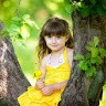 Dilshad Ali