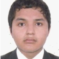 Ronny Joel Chupillon Silva