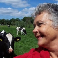Hannie Schut