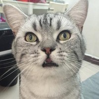 方骅懋