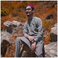 Awais Ali