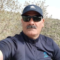 Ali Sattari