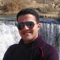 Ali Elsayed