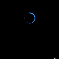 Vandana krishnamurthy