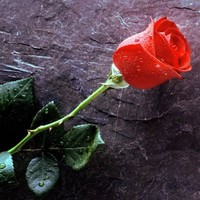 Ajay Diwakar