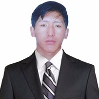 Julio Cesar Mamani Taquila