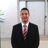 emad eldeen abd al kareem