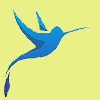 Il Colibrì DSA