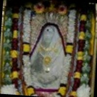 Sanjib Sanjib