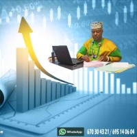 Immo Prestige Solution