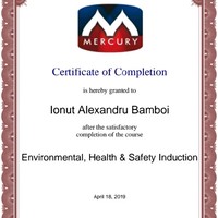 Alexandru Ionut Bamboi