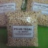 Pilus Tegal