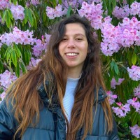Ariadna Cortes I Puig