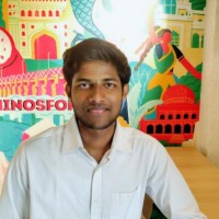 Sree Shanthan K