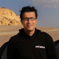 Amr Gamal