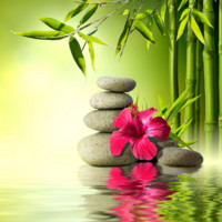 Rogini Balasubramanian