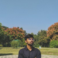 Dinesh Jaat