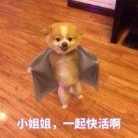 韩朝辉