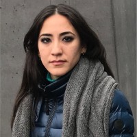 Diana Ailed Montes Yanez