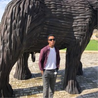 Daniel Taiwo