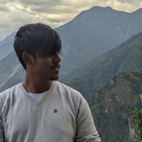 Amlan Roy