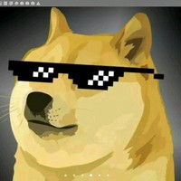 Solid Shibe