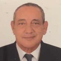 Tareq Hossam Eldin