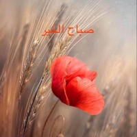 Mohamed Ibrahim