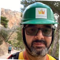 Massimiliano Taramelli