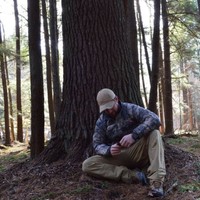 Clinton Stout