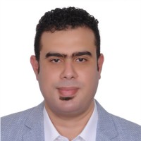 Hossam Rashwan