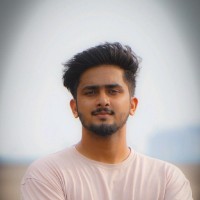 Vinay V