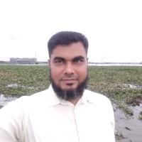 Mir Md Kawser Islam Mithu