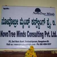 Novotree Minds Consulting