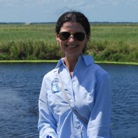 Jodie Hutchins