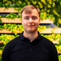 Mantas Šutas