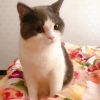 陈小二