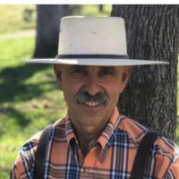 David Bem