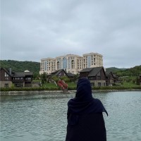 Alaa A. Alherz