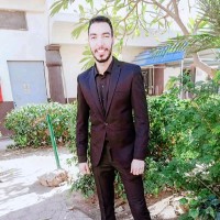 Ahmed Samy Sakr