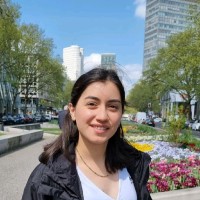 Shaked Mizrahi
