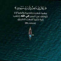 Nur Elhenawy
