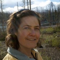 Wendy Wente