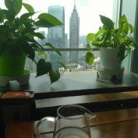 顾海燕
