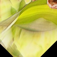 S. B.