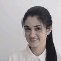 atefeh abbasi