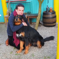 Florian Lauer