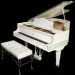 alessandro nunes da silva