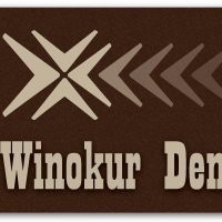 Kenneth Winokur