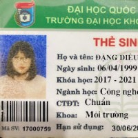 Linh Dang Dieu